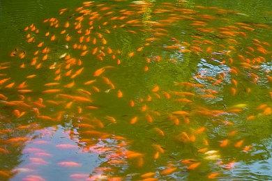 拳头起诉沐瞳侵权《英雄联盟》案被美国法院驳回